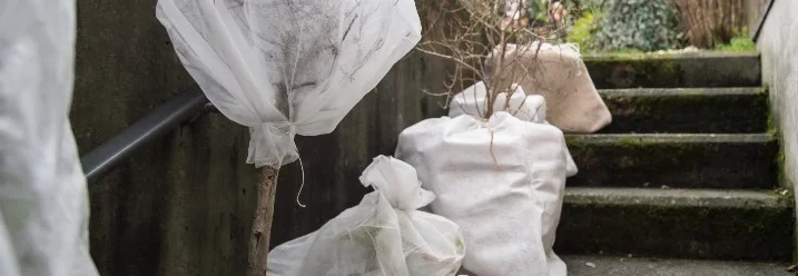 Eingepackte Pflanzen im Winter
